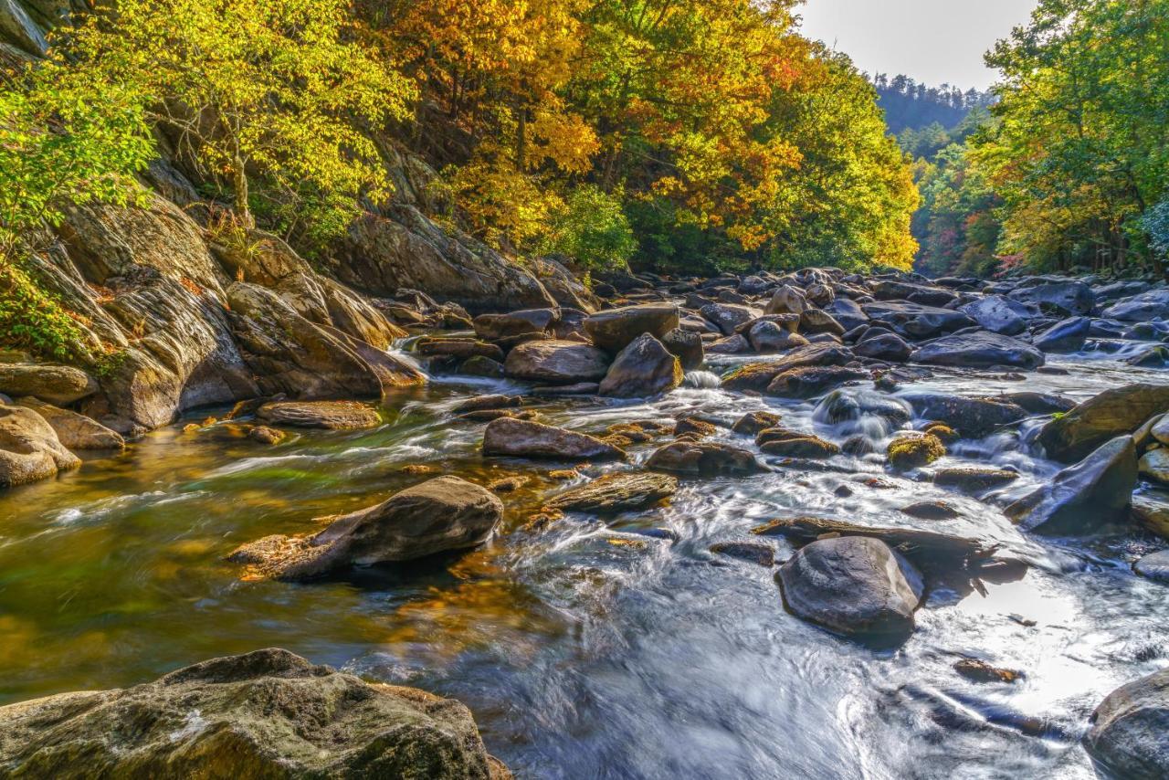 A Tennessee Joy Gatlinburg Exteriör bild